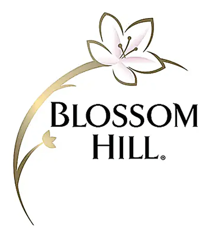 1/4s - Blossom Hill - White 24x187ml - Blossom Hill